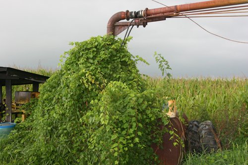 Property photo 48 - 21 Multiple Span Irrigation Pivots, Offered Individually or Combination - Irrigation Equipment Auction
